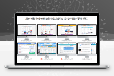 2025泛域名站群系统：最新蜘蛛池SEO工具