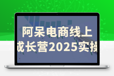 阿呆电商2025实操课：线上成长营最新教程