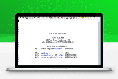 Vim编辑器v9.1.1595中文绿色版：多语言编程工具