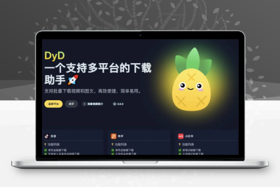 DYD下载器3.0.3重磅更新！支持抖音/快手等5大平台