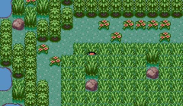 口袋妖怪格查尔