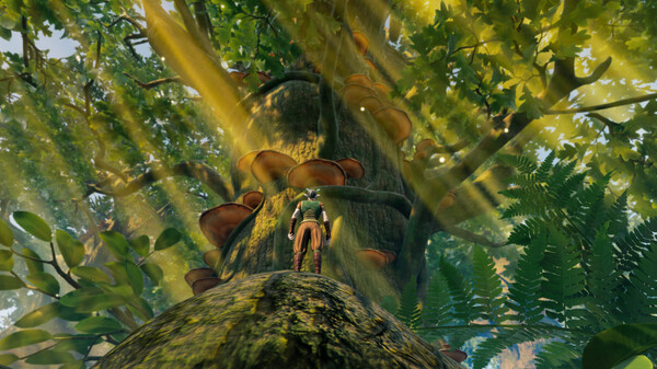 小小世界:原野求生 v2.0.3(Smalland: Survive the Wilds)免安装中文版