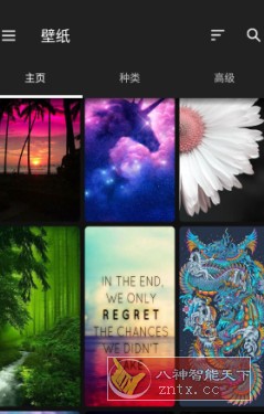 ZEDGE 铃声和壁纸v8.88.0高级版