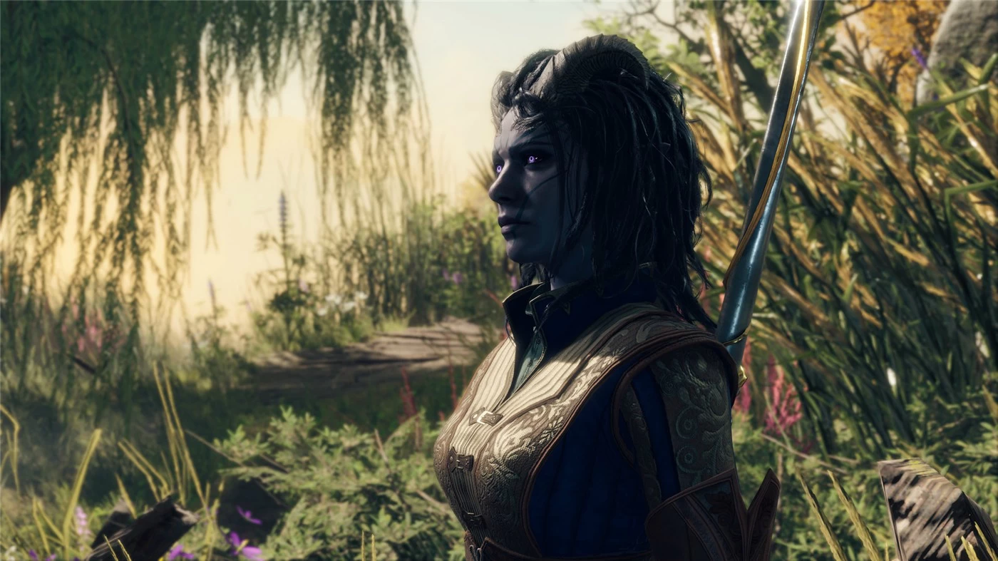 《博德之门3》v4.1.1.6848561 正式版