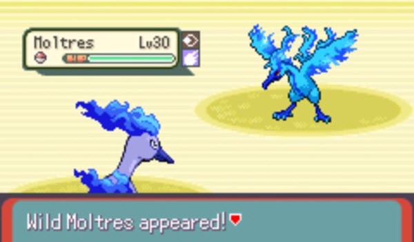 口袋妖怪格查尔