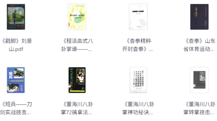 武术类书籍合集